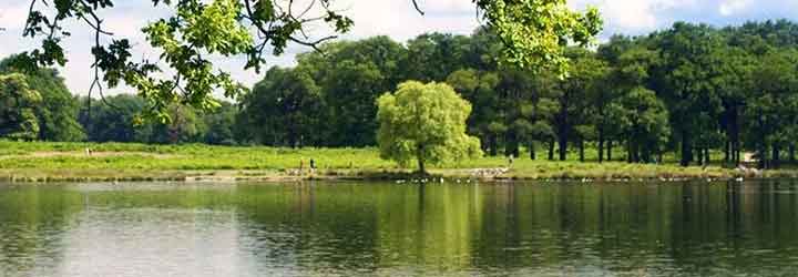 Danau Seluas 80 Hektare Di Perumahan Cilejit
